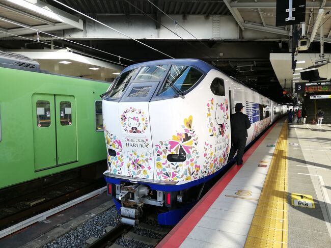 昨年はどこでもドアきっぷで金沢へ行きました。この時はJRとホテルとセットにするとJRもGOTOの対象となり、クーポンもあったんで実質1万円になりました。<br /><br />10月から特急も復活してきたこともあって、乗り放題も復活するのではと思っていたら復活してくれました。お値段は上がりましたけども、1名からでも利用できるとな。ま、今回も姉との旅ですけどね。<br /><br />さてどこへ行こう?値段が上がったんでこれはもう新幹線は絶対に使わないと。博多へ行こうかな~~。いやしかし、九州はよく行きますが観光で博多って??乗りほなので、使うのはJR西日本でないと。<br /><br />宮島フェリーも使えるんで広島へ行くことにし、博多はその中で行くことにします。<br /><br />3日間利用はe5489から買えますが2日間用は旅行会社での購入。買いに行こうと思っている旅行会社は緊急事態宣言明けは予約制となりました。切符等の購入は予約は出来ないということで通常に買いに行きます。<br /><br />昨年のGOTO利用でどこでもドアきっぷ購入は2時間強待ちましたが、今回はすんなり買うことが出来ました。座席指定は旅行会社で出来ますが、もし変更等があればこの旅行会社でないとできないという。人も多くなり当日みどりの窓口で座席指定をすると待つことになるかもしれないんで、空いているうちにとりあえず往路の新幹線の座席指定をしに、みどりの窓口へ行きます。<br /><br />エトセトラに乗りたかったんですがもう満席。「SLやまぐちは?」と尋ねると、離れた席ならありますということだったのでやめることに。<br /><br />色々考え、<br />1日目 新大阪~広島 <br />広島~呉 大和ミュージアム <br />呉~広島~宮島口 厳島神社 <br />宮島口~岩国~バス 錦帯橋 <br />バス~新岩国~広島<br /><br />2日目 広島~小倉 小倉~博多 博多~広島 原爆ドーム 広島~新大阪<br /><br />てな予定です。乗りほなので電車に乗ることに重きをおいた予定です。<br /><br />JR西日本乗り放題の旅の始まり~