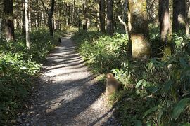 秋の伊豆と信州の優雅な旅♪　Vol.120 ☆上高地：明神池・徳沢の優雅なハイキング　紅葉と霧氷♪