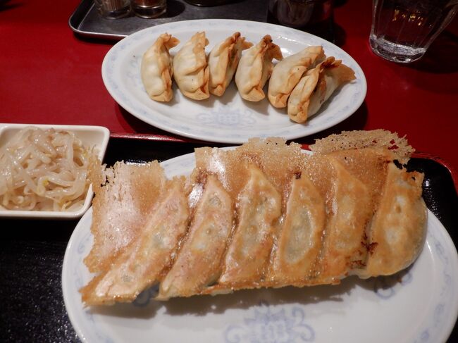 ＪＲ日光線で宇都宮に移動した後は宇都宮餃子を食べました。