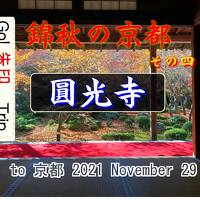 Go!朱印Trip to錦秋の京都④ 2021Nov.２日目am｢圓光寺｣