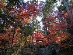 関西２０２１秋旅行記　【１】西明寺