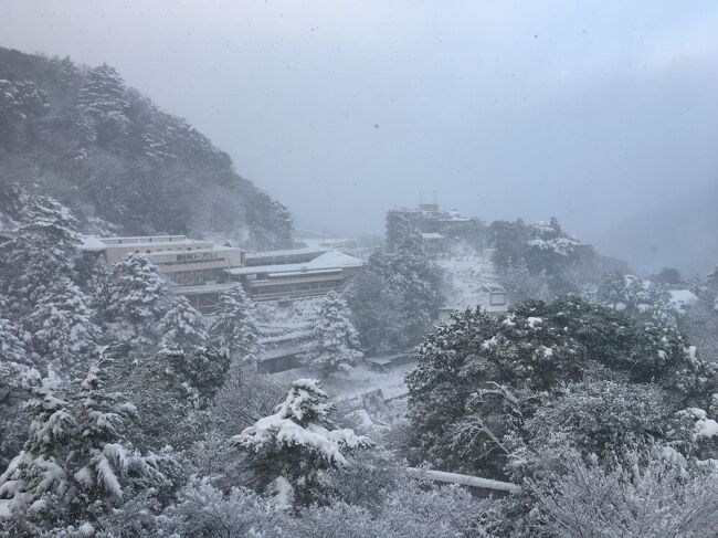 この日は三重県民割でご近所の湯の山温泉に行って来ました。<br /><br />前日は車で虹を見たものの、１２月初旬だと言うのに、マサカの大雪で動けなく成りました・・・<br /><br />湯の山温泉公式HP<br />　　　　　　https://www.yunoyama-onsen.com/<br /><br />養老年間（717～723）の温泉発見からつづく湯の山温泉は栄枯盛哀を繰り返してきました。<br /><br />信長の伊勢進攻で三岳寺が焼き討ちにあって衰退、江戸時代に温泉湯宿として再興され、明治十年 西南戦争のおりに負傷兵の臨時療養所に充てられて活気を取り戻しました。<br /><br />昭和二十五年には愛知国体の登山競技開催地として全国に知れわたり、昭和三十四年の御在所ロープウエイ開通で爆発的な人気を集めました。<br />その間、多くの文豪や歌人、動植物研究家が訪れた湯の山温泉は、都市近郊にありながら豊な自然が残る温泉地であり、関西の奥座敷とも呼ばれています。<br /><br />御在所岳へ登れば琵琶湖、伊勢湾を一望し、天気の良い日には遥か富士山をも遠望でき、温泉街には三岳寺や蒼滝、大石といった見所を訪ね歩く遊歩道があります。<br /><br />御在所岳登山旅行記<br />　　　　　　https://4travel.jp/travelogue/11257977<br /><br />　　　　　<br />