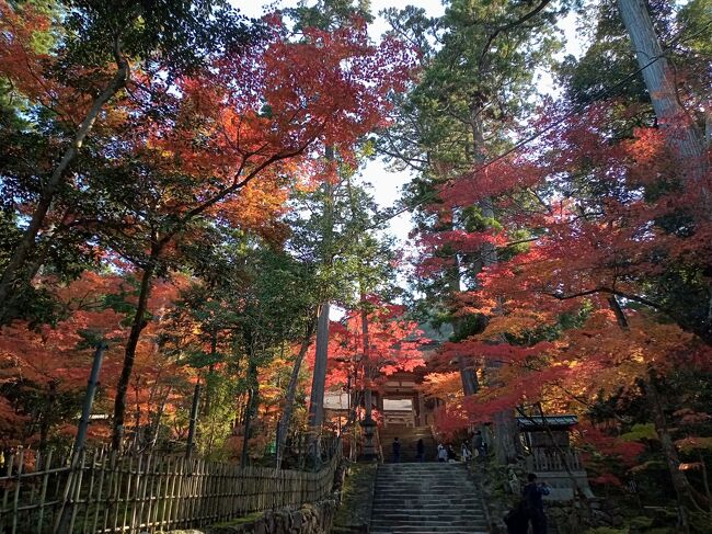 関西２０２１秋旅行記　【１】西明寺