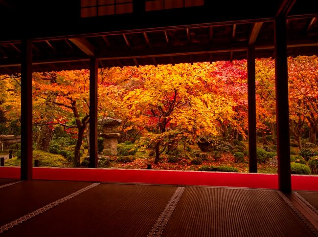 旅行前日にスマホを失くしてしまい、乗る新幹線も分からないまま出発…<br />寺社への行き方がわからない！路線ややこしい！<br />け普段いかにスマホに頼っているかをひしひしと実感。<br />けど、京都の良いところがたくさん見えた3日間だった。<br />