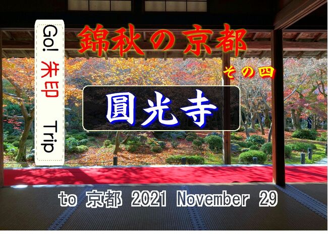 　紅葉の時期になり、コロナが収まってきて、外国人もいないとなれば、行くしかないでしょう「京都」へ！　というわけで約２年ぶりに京都に行ってきました。コロナ前は、年に１、２度訪れていましたが、本当に久しぶり。とはいえ、感染には気を付けなくてはいけないので、今回はなるべく人の少ない「鞍馬」や「一乗寺」、「高尾」などを２日間で回りました。標高の高い「鞍馬」や「高尾」では、ほとんど紅葉は終わりを迎えていましたが、「一乗寺」近辺は、まだ紅葉の見頃でした。<br />　旅行記第４回目は、２日目午前中に訪れた「圓光寺」編です。<br />