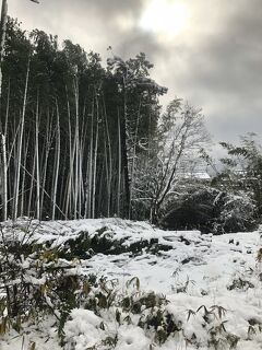 Tokyo Stay365 (end of year) 東寺の御影堂の前で待ちましょう