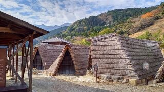 初ダイア旅　別府温泉２　明礬温泉　混浴露天風呂で出るに出れないピンチに