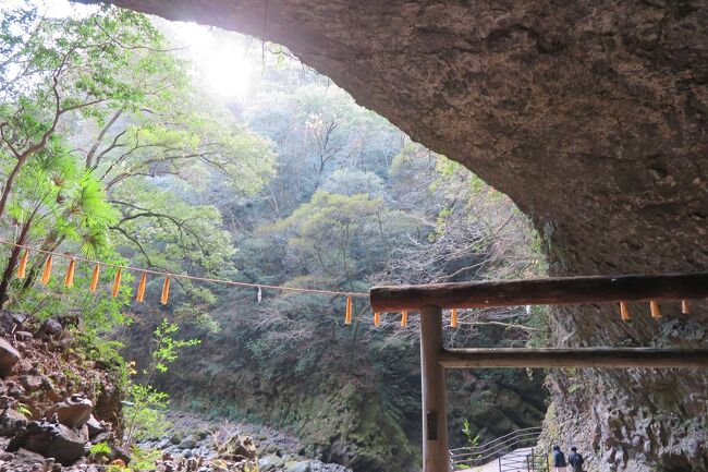 今回は、朝一の神戸空港発のスカイマーク鹿児島行きが予定１５分前に欠航になり<br />慌てました。スカイマークの提案として夜の便に振り替えるか、<br />代替手段として新幹線で行くか、関空か伊丹空港から行くか。<br />結果として、伊丹空港へ行き、昼すぎのANAで鹿児島空港に<br />向かう事にしました。<br /><br />スカイマークは、運航率が高い事をうたっているのですが、<br />国内便の欠航の経験はこれが初めてです。<br /><br />何度か鹿児島に行っているので、朝一から今まで行った事のない<br />大隅半島を観光する予定だったのですが、半日おじゃんになってしまい、<br />残念でした。<br /><br />今回の旅の主な目的の一つ、天岩戸神社を参拝する事が<br />できたのは、よかったです。伊勢神宮にも通じる、<br />とても神聖な場所でした。<br /><br />グルメも楽しむ事ができました。宮崎は物価が安いと感じました。<br /><br />寒くなる前のまとまった旅行は今年はこれが最後です。<br />来年も色々な所に行けますように。