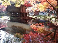 中尊寺～鳴子温泉～南三陸へ