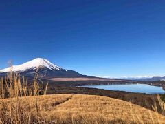 山中湖畔／芦ノ湖畔からの富士山【週末ゴルフの行き帰り】