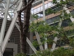 ミッドタウン周辺をぶらぶら【後編】