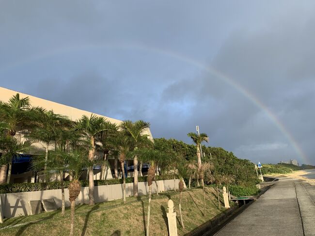 初石垣島旅行（8泊9日）の後編です。後編は6日目以降の旅行記で、息子が合流します。<br />天気予報ではこの日から毎日雨予報で心配しましたが、実際はほとんど雨に降られず、気温も高く（半袖Tシャツ）、楽しい親子旅行になりました。息子との2人旅はこれが最後かな～。