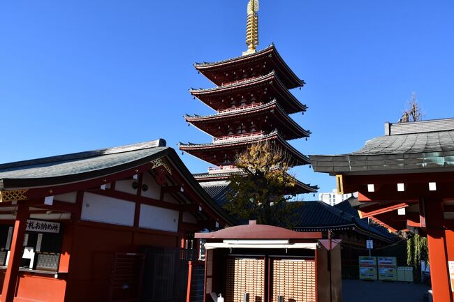 浅草に宿を取ったので、朝から界隈の探検に繰り出しました。これまでは雷門、仲見世から五重塔辺りまでしか知らなかったのですが、花やしきや六区も歩いてみると、興業街としての様子が見えてきました。古き良き江戸の面影を残していつように思えます。<br /><br />