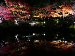 横浜公園ライトアップ・横浜ベイエリア冬の花火