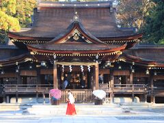 湖東の紅葉めぐり（多賀大社・胡宮神社編）