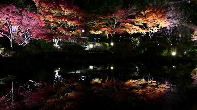 横浜公園ライトアップ・横浜ベイエリア冬の花火