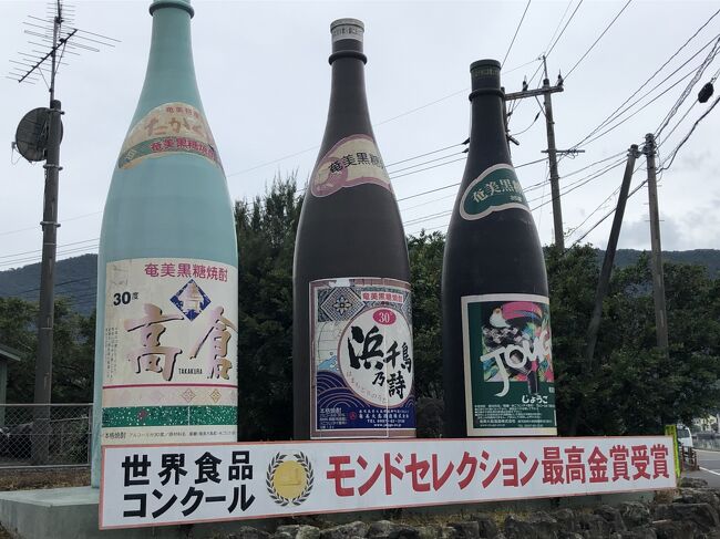 2021年12月19日(日)~21日(火)阪急トラピックス主催「雄大な自然美を目にする感動の奄美大島七景めぐり3日間」に参加し、最後に一時離団し、田中一村美術館を訪れ、復団しました。その1日ごとの旅行記です。<br />奄美大島は初訪問地です。冬はできれば冬眠したい、寒いのは大嫌いな私、暖かい地で過ごしたいと思い選びました。12月なのに、春のように暖かく、コート要らずの3日間。美しい海を見て、新鮮な海の幸を味わい、バスに乗って少し移動しては少し歩くというのんびり行程。添乗員さんのご厚意で、大好きな道の駅やスーパーにも行け、命の洗濯ができました。①②③・・は旅行記①②③・・の番号です。主な行程は下記のとおりです。<br />19日(日)1日目 羽田11:45 JAL659 →奄美空港14:15<br /> 絶景1 笠利崎灯台①<br /> りゅうがく館見学 ウェストコート奄美連泊<br /> 123MART・グリーンストア(おまけ)ご案内②<br />20日(月)2日目 絶景2 マングローブ展望所 絶景3 ホノホシ海岸<br /> マネン崎展望広場(おまけ)③ フリー昼食でせとうち海の駅<br /> Aコープ 絶景4 油井岳展望台<br /> 絶景5 赤土山展望台 三太郎の里(おまけ)<br /> 絶景6 大浜海浜公園④<br />21日(火)3日目 浜千鳥館 大島紬村⑤ <br /> ばしゃ山村オプションランチ 鶏飯<br /> 絶景7 あやまる岬 奄美空港⑥<br /> 離団(タクシーにて)田中一村美術館 復団 <br /> 奄美空港15:05 JAL658~羽田 16:55<br /> ~カイロ(整体)~自宅⑦<br />
