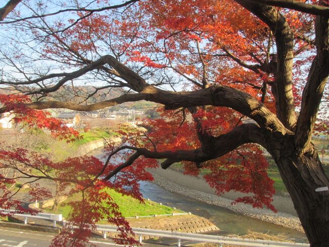 12月に入り、そろそろ冬の気配が感じられるとき、紅葉の和歌で有名な竜田川沿いを歩きました。<br />『千早（ちはや）ぶる　神代（かみよ）もきかず　竜田川（たつたがは）からくれなゐに　水くくるとは』在原業平<br /><br />とても有名な歌で小倉百人一首の一つとして取り上げられているので、ご存知の方も多いですね。もうすぐお正月。カルタ取りでも馴染んでおられるのでは。<br />今回は、JR王子駅から北上し、ほぼ近鉄生駒線に沿って近鉄・生駒駅まで歩きました。途中寄り道もしたので、ほぼ16㎞の道のりでした。<br />竜田川を離れてからは、行基ゆかりのお寺、往馬（いこま）大社に立ち寄りました。最後の2つのスポットが思いがけない収穫！