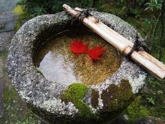 京都・散り紅葉と南座と鯖寿司②