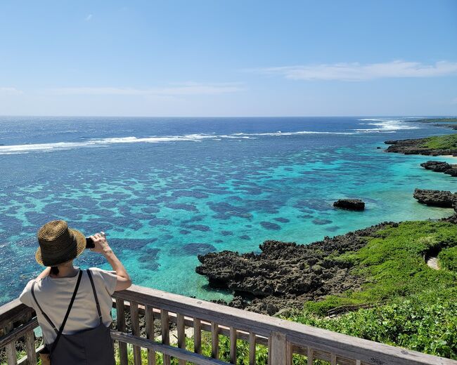 JALのマイルを特典航空券にして、姉妹でゆく10月の宮古島。<br />埼玉県からの日帰り旅です。<br /><br />日帰りでも、現地滞在9時間半もあれば十分でしょーと思ったら足らず。<br />美しい海を見て、また色々頑張ろう!と思えた旅でした。<br /><br />※最後に「うりずん(四角豆)」の成長記録も載せています。<br /><br /><br />-- 旅のメモ(1名につき)----<br /><br />・JAL特典航空券 20,000マイル使用(羽田-宮古島直行便)<br />・交通費:6,060円<br />・食事代:7,160円<br /><br /><br />-- この旅で訪れた場所 --<br /><br />・宮古空港<br />・モンテドール<br />・宮古神社<br />・あたらす市場<br />・イムギャーマリンガーデン<br />・畑の中のジュース屋さん<br />・来間大橋<br />・来間島<br />・沖縄そば まるかみ<br />・パニパニ PANIPANI(入店せず)<br />・スナヤマカフェ<br />・ユートピアファーム宮古島<br />・島の駅みやこ<br />・Coffee Barista<br />・ぱいぱいのむら(宮古空港店)