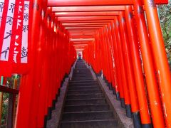 2021 分散初詣？ 芝大神宮&日枝神社