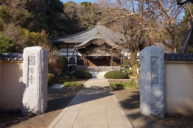 都心から近くて、自然と歴史ある国指定遺跡の「武蔵国分寺」跡と国分寺崖線に沿ったお鷹の道を歩きました。<br />武蔵国分寺は、出土した文字瓦や漆紙文書などから天平宝字年間(756年～765年)頃に創建されたと考えられており、その遺跡は、僧寺と尼寺の他に、関連する住居跡などを含めると、東西1.2Km、南北1Kmと広範囲に及んでいます。<br />国分寺市の名前は、古代の時代に国分寺が置かれたことに由来しています。<br />(東京文化財ウォーク　府中・国分寺を歩こう　資料より抜粋。以下の本文コメントも同様です) 。<br /><br />表紙の写真は国分寺本堂。<br />