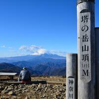 塔ノ岳日帰り登山【大倉尾根ピストン】