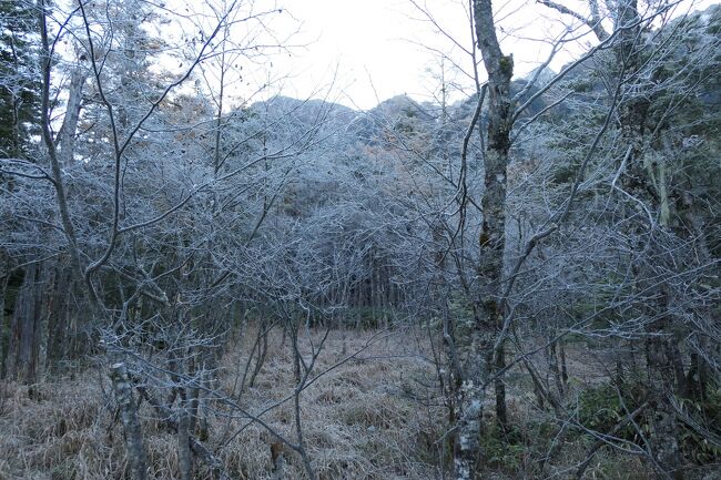 2021年10月30日-11月7日、静岡県と長野県に行きました♪<br />駿河湾と富士山、諏訪湖・上高地・八ヶ岳、晩秋の山岳や高原、温泉やグルメ、紅葉をたっぷりと楽しんできました♪<br /><br />☆Vol.149　11月5日：上高地♪<br />上高地帝国ホテルからハイキング♪<br />東京で言えば真冬なので、<br />モンクレールのダウン、エルメスの帽子・手袋・マフラー、ユニクロのヒートテックのパンツ、上高地帝国ホテルのハイキングシューズでばっちりと防寒。<br />上高地帝国ホテルから出発して田代池・大正池へ歩く。<br />梓川へ歩くと森の先端部は霧氷で白くなっている。<br />梓川に出ると朝日に浴びて輝く穂高連峰。<br />初冬の佇まいは神々しい。<br />周囲のカラマツは黄金色の紅葉に白い粉にかけられたような霧氷をまとい、<br />幻想的。<br />深い森の中を歩く。<br />湿原は霧氷の白い世界。<br />ゆったりと歩いて眺めて♪