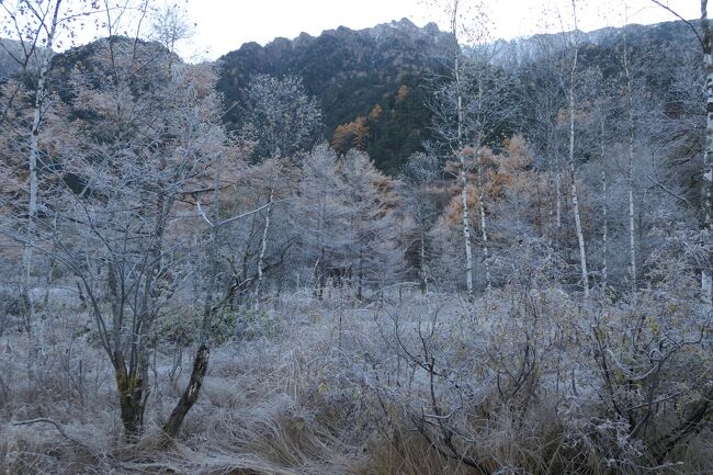 2021年10月30日-11月7日、静岡県と長野県に行きました♪<br />駿河湾と富士山、諏訪湖・上高地・八ヶ岳、晩秋の山岳や高原、温泉やグルメ、紅葉をたっぷりと楽しんできました♪<br /><br />☆Vol.154　11月5日：上高地♪<br />上高地帝国ホテルからハイキング♪<br />東京で言えば真冬なので、<br />モンクレールのダウン、エルメスの帽子・手袋・マフラー、ユニクロのヒートテックのパンツ、上高地帝国ホテルのハイキングシューズでばっちりと防寒。<br />上高地帝国ホテルから出発して田代池・大正池へ歩く。<br />梓川へ歩くと森の先端部は霧氷で白くなっている。<br />梓川に出ると朝日に浴びて輝く穂高連峰。<br />初冬の佇まいは神々しい。<br />周囲のカラマツは黄金色の紅葉に白い粉にかけられたような霧氷をまとい、<br />幻想的。<br />深い森の中を歩く。<br />湿原は霧氷の白い世界。<br />白い湿原の向こうに朝日を浴びて輝く穂高連峰。<br />田代池の周囲は霧氷で白くなった木々が広がる。<br />田代池から大正池へ。<br />白い世界がどこまでも続く。<br />ゆったりと歩いて眺めて♪