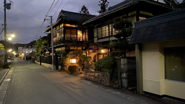 駒ヶ根の地ビールレストランで生ビールと駒ヶ根名物ソースカツ丼と地ビールレストランの定番フィッシュ&amp;チップスをいただきました。飯田線の各駅停車でのんびり車窓見物しながら愛知県湯谷温泉の日帰り施設により帰宅しました。<br />　今年もコロナで隙を見てそこそこ旅行に行けた充実した1年でした。来年はさらにいろいろ旅行へ行かナイト！！