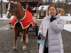 トラピックス　名湯の温泉旅館でくつろぐ北海道イルミネーション光の旅4日間（4）登別温泉から極寒の支笏湖を経てノーザンホースパークでランチ。