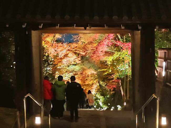 あけましておめでとう御座います。<br />本年も宜しくお願い致します。。<br /><br />今回の旅行記は昨年末に投稿した年末京都旅行の続きになります。<br />12月12日~14日の2泊3日で京都へ年末の旅納めで行って来ました。<br />1日目の前編は、<br />https://4travel.jp/travelogue/11729939<br />こちらになります。<br />内容は到着後に美味しい”かしわキーマカレーうどん”のお店から下鴨神社へお参りの後に”茶寮宝泉”さんの”わらび餅”を頂いて来ました。<br /><br />今回の投稿は、前編の続きで夕食を湯豆腐の美味しい”豆屋源蔵”さんで頂いて、紅葉のライトアップが最終日の高台寺へ。。<br />とってもステキな紅葉のライトアップを見て夜の八坂神社で参拝してホテルへ。。。<br /><br />いつもながら纏まりの無い拙い旅行記ですが、最後までお付き合い頂けると嬉しいです。。<br /><br /><br />