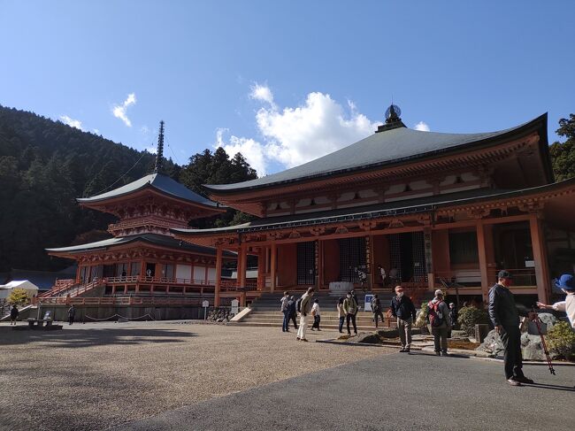 紅葉の比叡山を参拝しようと計画し、Q&Aでいろいろ教えて頂きました。<br /><br />https://4travel.jp/dm_qa_each-76773.html<br /><br />11月では寒い頃だと言われたため、しっかり厚手の衣類を着込んで出かけたのでした。市内のホテルを出て比叡山坂本からロープウェイで登り、巡回バスで境内をまわり、叡山ロープウェイとケーブルで八瀬比叡山口に降りるコースを計画しました。<br /><br />JRの比叡山坂本に着くと、たくさんの人が降りました。皆さん比叡山へ行くような雰囲気ですが、その服装が薄めのブルゾンと小型のリュックです。足元はしっかりとウォーキングのシューズの様です。まったくの観光客姿でコートを厚着している自分が浮いて見えました。<br /><br />後はほとんどリュックを背負った詳しそうな人がどう動くのか、それについて行くような参拝でした。根本中堂、東塔、横川中堂などを周ったのですが、西塔は歩き疲れてバスを降りる元気がありませんでした。少し心残りがあり、春にでももう一度来てやるぞと言う気になりました。<br /><br />11月でしたが、とても暖かい一日でした。坂や階段を歩くため、薄着にリュック姿が便利だと納得しました。途中で会った人の中には、半袖半ズボンで走るように進む元気な人もいました。後で聞くと、麓から乗り物を使わずに徒歩で登って参拝する人もいるそうです。これだけ大きな山で修行するのは大変なのではないかと思い、最澄やお坊さんの信仰に驚きを感じながら山を下りました。<br /><br />しかし投稿で悩みました。比叡山は京都府の様で、京都の観光案内のもあります。延暦寺の建物は滋賀側にあるようで大津になるのでしょうか。この旅行記は滋賀でアップして見ましたが、詳しい方がいましたら教えてください。<br />