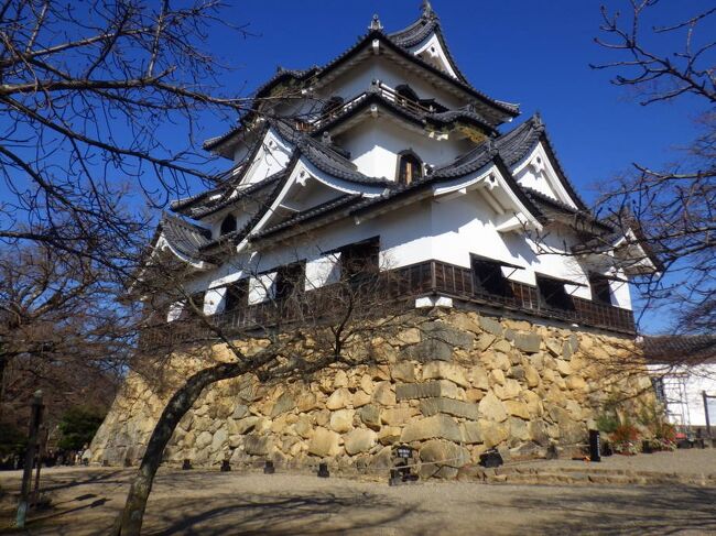 12月23日<br />岡崎から高速を使って1時間40分ほどで彦根につきました。「夢京橋キャッスルロード」に3時間500円の駐車場があったので、そこに停めて散策を開始しました。「夢京橋キャッスルロード」は彦根城の南西に伸びていて、江戸時代の城下町を再現したレトロな通りでした。<br /><br />「佐和口多聞櫓」を見て、すぐ近くの「開国記念館」に入りました。入館は無料でした。内部は撮影禁止でしたが、彦根と彦根城に関する展示がありました。ここで、彦根城の守りの強さについて知ることが出来たので、実際に城を登ったときに守りの仕組みが良くわかって面白かったです。<br /><br />重要文化財の「馬屋」は無料公開されていました。場内に馬屋が残る珍しい例で、説明してもらえたのでよくわかりました。その後、入城料800円を支払い、天守を目指しました。石段を上がっていくと、「天秤櫓の落とし橋」が見えてきました。非常時にはこの橋を落として敵の侵入を防いだそうです。日本の城郭では唯一といわれる左右対称の「天秤櫓」は見た目も美しく、内部も見学できました。櫓からは見晴らしも良く、足元には守りの要の「落とし橋」も見えました。柱には「チョンナ目」という模様も施されていました。江戸時代から定刻を知らせてきた「時報鐘」と鐘の音を聴く「聴鐘庵」を通り過ぎ、「太鼓門櫓」を越えると「天守」に到着しました。現存する国宝五天守の一つで、内部も見学可能でした。急な階段を上って上に上がると、眼下には彦根の町や琵琶湖の景色が広がっていて、城主の気持ちを感じることが出来ました。<br /><br />城を降りると「楽々園」がありました。無料で見学できる旧藩主の下屋敷で、井伊直弼もこちらで生まれたそうです。となりに「玄宮園」があり、こちらは彦根城の共通入場券で見学できました。歴代藩主が愛した大名庭園で、趣きがありとても美しかったです。ゆったりと四季を感じながら過ごす藩主の気持ちを感じながら散策することができました。<br /><br />彦根城見学後、「近江肉せんなり亭 伽羅」でランチをいただきました。「すき焼き鍋御膳」2570円、「和風ロースステーキ重」3630円を注文しました。「すき焼き鍋」には近江牛のお肉が二枚乗っていました。卵を絡めていただくと脂身が甘くて美味しかったです。割り下は関西風なのか少し薄めでした。「和風ロースステーキ重」もちょっと筋はありましたが、近江牛の脂の甘さが美味しかったです。ご飯は少なめなので大盛りでもいいかもしれないと思いました。会計は6380円でしたが、paypayの「12月は彦根でPayPay!最大30%戻ってくるキャンペーン」で30%の1914円還元されました。<br /><br />「夢京橋キャッスルロード」の近くに「いと重菓舗 本店」があったので、行ってみました。「埋れ木」129円を2個と「埋れ木(きなこ)3個入り」540円と「埋れ木(濃茶)3個入り」540円を購入し、paypayの「12月は彦根でPayPay!最大30%戻ってくるキャンペーン」で30%の336円還元されました。<br /><br />「夢京橋キャッスルロード」から15分ほどで「多賀観光案内所」に到着しました。大きな無料駐車場とトイレを併設していました。無料のWi-Fiも通じていました。<br /><br />「多賀観光案内所」の駐車場から歩いて5分ほどで「多賀大社」に着きました。「太鼓橋」は足元が危険で渡れませんでしたが綺麗な橋でした。「身体健康」、「縁結び」の祈願で参拝する人が多いということで、「身体健康」をお祈りすることができました。<br /><br />「多賀大社」から5分ほどで、道の駅「せせらぎの里こうら」に到着しました。併設する「ピッツェリア ウノ」のプリンが20円引きの130円で売っていたので買ってみました。<br /><br />道の駅「せせらぎの里こうら」から45分ほどで「日牟禮八幡宮」に到着しました。楼門には猿の彫刻が施されていて、くぐると「災難が去る」ということでした。1800年以上の歴史を誇る古社だけあって風格がありました。<br /><br />「日牟禮八幡宮」のすぐ近くに「八幡堀」がありました。びわ湖に繋がっていて人や物資の輸送に使われていたそうです。時代劇のロケ地にも使われるそうで、石積みや土蔵が立ち並んでいてとても雰囲気が良かったです。<br /><br />「八幡堀」のすぐそばに木造でひときわ目を引く建物が建っていました。「白雲館」といい、明治10年に「八幡東学校」として建てられた建物だということでした。今は、観光案内所を併設していて無料で入館出来ました。<br /><br />「白雲館」から歩いて5分ほどで「新町通り」に出ました。国の「重要伝統的建造物群保存地区」になっていて、江戸時代末期から明治にかけて築かれた近江商人の屋敷跡が残っていました。風情のある素敵な街並みでした。<br /><br />「新町通り」から「日牟禮八幡宮」に戻る途中、「八幡堀石畳の小路」がありました。大正時代の蔵や古民家を改装した近江名物の店が軒を連ねていました。小路を通って八幡堀に抜けるつもりでしたが、八幡堀のライトアップ工事のため通り抜けはできませんでした。<br /><br />「日牟禮八幡宮」から1時間ほど走り、「アパホテル びわ湖 瀬田駅前」に宿泊しました。ダブル(禁煙)素泊まりが6200円、駐車場が980円でしたが、じゃらんのクーポンで1000円引きでした。部屋は新しく、明るくて綺麗でした。paypayの「がんばろう大津!対象のお店で最大20%が戻ってくる年末キャンペーン」で20%の1236円還元されました。<br /><br />夜にホテルでまずは「埋れ木」をいただきました。見た目も綺麗でしたが、口に入れたときにもの凄く柔らかったのに驚きました。味もとても上品で美味しかったです。「埋れ木(きなこ)」も「埋れ木(濃茶)」もきなこやお茶の香りが口いっぱいに広がってとても美味しかったです。<br /><br />「ピッツェリア ウノ」のプリンは表面は硬め、中はトロトロで、玉子の味が濃厚でなかなか美味しかったです。<br /><br />12月24日<br />「アパホテル びわ湖 瀬田駅前」から10分ほどで「石山寺」に着きました。入山料は600円でした。山門を越えたところにあった看板の順路に従い、「くぐり岩」、「観音堂」、重要文化財の兜跋毘沙門天など3体を祀った「毘沙門堂」、「蓮如堂」と進むと、国宝の「本堂」に出ました。本堂には紫式部が源氏物語を作ったという「源氏の間」も残っていました。そのあと「三十八所権現社」を越えると、国宝に指定されていてる日本最古の「多宝塔」がありました。そのあとも、「紫式部像」、「八大龍王社」などと回りましたが、国の天然記念物の「珪灰石(けいかいせき)」と「本堂」の周辺が一番見ごたえがありました。<br /><br />「石山寺」から50分ほどで道の駅「びわ湖大橋米プラザ」に到着しました。滋賀のいろいろにお米を売っていました。「ミルキークイーン」1キロ480円、「みずかがみ」1キロ470円のほか、「伊吹久次郎そば」890円、「ほうじ番茶」310円などを買うことが出来ました。paypayの「がんばろう大津!対象のお店で最大20%が戻ってくる年末キャンペーン」で20%の430円還元されました。<br /><br />道の駅「びわ湖大橋米プラザ」の二階が「展望バルコニー」になっていて、「琵琶湖」と「びわ湖大橋」を綺麗に見ることが出来ました。また、「びわ湖大橋のできるまで」や「琵琶湖の水と生き物たち」などの展示もあって面白かったです。<br /><br />道の駅「びわ湖大橋米プラザ」から10分ちょっとで道の駅「妹子の郷」に到着しました。レストランで昼食を食べました。一番人気の「近江牛重」1940円がJAF カード提示で200円引きでしたので、それと、平日限定「近江牛丼ランチ」990円を注文しました。どちらも大盛り無料でしたので大盛りでお願いしました。「近江牛重」はちょっと甘めのタレで焼いてありました。まずくはないのですが牛肉自体は前の日に食べた千成亭の方が肉質が良くて美味しかったです。「近江牛丼ランチ」は手軽に近江牛を味わえるのでお手ごろかと思いました。paypayの「がんばろう大津!対象のお店で最大20%が戻ってくる年末キャンペーン」で20%の546円還元されました。<br /><br />仰木から「奥比叡ドライブウェイ」と通って比叡山を目指しました。途中、「香芳谷展望台」がありましたが、見晴らしはあまり良くなかったです。「びわ湖展望台」も同様でした。道の駅「妹子の郷」から30分ほどで、「比叡山延暦寺」の横川エリアに到着しました。<br /><br />道の駅「妹子の郷」から30分ほどで、「比叡山延暦寺」の横川エリアに到着しました。ここで、比叡山延暦寺の講堂巡拝券1000円を購入して見学をはじめました。横川地区の本堂「横川中堂」を見た後、おみくじ発祥の地の「元三大師堂」、「根本如法塔」と回って、「西塔エリア」に移動しました。「西塔エリア」では弁慶が肩に担いだとの伝説がある「にない堂」、西塔の本堂にあたる「釈迦堂」、聖徳太子が椿の杖をさしておいたという「椿堂」を見てメインの「東塔エリア」に行きました。「東塔エリア」では、大日如来像が本尊の「大講堂」を見た後、総本堂の「根本中堂」に行きましたが、改修中で味気なかったです。そして、文殊菩薩を安置した「文殊楼」、日本の大黒天信仰の発祥の地といわれる「大黒堂」で「真尼車」を回し、1回50円でつける「開運の鐘」、天台宗の僧侶が僧になることを誓う「戒壇院」、「法華総持院」を見て2時間ちょっとで比叡山参拝を終えました。<br /><br />比叡山延暦寺の「東塔エリア」から数分で「比叡山」の山頂に着きました。あいにくちょっと曇っていてあまり見晴らしはよくありませんでした。たとえ晴れていたとしても比叡山は景色より延暦寺なのかなと思いました。<br /><br /><br />比叡山山頂から「比叡山ドライブウェイ」で南滋賀方面に抜けました。途中で料金所があり、奥比叡ドライブウエイから通しで2430円のところJAFカード提示で2200円でした。若干割引はされましたが、それでもかなり高いと思いました。<br /><br />比叡山山頂から40分くらいで「日吉大社」に到着しました。拝観料は300円でした。16時を回っていたので急いで回りました。大宮川に架かる「大宮橋」を渡り、神仏習合を表す「山王鳥居」をくぐり、魔が去る「神猿(まさる)」、「西本宮楼門」、日吉造りの「西本宮本殿」、「神輿収蔵庫」、国宝の「東東宮」と回ったところで本殿に灯が灯り、幻想的でした。次回はもう少し時間をかけて回りたいと思いました。<br /><br />「炭火焼豚丼 信玄 下阪本 本店」で夕飯をいただきました。「豚丼(大盛)」830円と「トンテキセット(ロース250g)」1190円を注文しました。「豚丼」は香ばしく焼かれた豚にネギとワサビがアクセントになっていて美味しかったです。「トンテキセット(ロース250g)」もロース肉の脂身が甘く、ニンニクが効いていて美味しかったです。かなりのボリュームでしたが、味がしっかりついているので大盛ご飯もペロリでした。paypayの「がんばろう大津!対象のお店で最大20%が戻ってくる年末キャンペーン」で20%の404円還元されました。<br /><br />大津では「東横イン京都琵琶湖大津」に泊まりました。朝食付きで一泊7125円に駐車場は立体で500円でした。paypayの「がんばろう大津!対象のお店で最大20%が戻ってくる年末キャンペーン」で20%の1530円還元されました。洗濯機は一回200円、乾燥機は30分100円で設備は安定していました。<br />12月25日<br />東横インの朝食はビジネスホテルの中でも簡素な方ですが、この日の朝食はお米が全く美味しく炊けていなかったので残念でした。たとえ安いお米でも、もう少し上手く炊けているとよかったです。みそ汁と納豆をかけて流し込みました。<br /><br />「東横イン京都琵琶湖大津」から歩いて5分ほどで「琵琶湖疏水」に出ました。大津から京都に琵琶湖の水を運び、飲用のみならず、輸送、発電、産業用など多目的に利用するために作られたそうです。疏水沿いには桜がたくさん植えられていたので花見の時期にはまた来たいと思いました。<br /><br />琵琶湖疏水沿いを「三井寺」を目指して歩いていると、「三尾神社」に出ました。「三井寺」と間違えて入ってしまったのですが、小さいながらも厳かな雰囲気のある神社でした。早朝のピリリとした雰囲気の中、年越しの準備をされていました。<br /><br />「三尾神社」のすぐ隣に「三井寺」がありました。参拝料は600円でした。受付が複数あるようでしたが、「仁王門」から入った方がいいと思いました。重要文化財の「釈迦堂」には清涼寺式釈迦如来像が祀られていました。「金堂」は国宝で、、「鐘楼」には近江八景の「三井の晩鐘」があり、1回800円でつけるようでした。「閼伽井屋(あかいや)」には天智、天武、持統の三天皇が産湯に使ったという泉がコポコポと湧いていました。そのあと、弁慶が比叡山に引き摺り上げたという「弁慶の引き摺り鐘」や、「弁慶の汁鍋」、高麗版一切経を納める回転式の「八角輪蔵」がある重要文化財の「一切経蔵」を見た後、三井寺の開祖である智証大師をお祀りしている「唐院」に向かいました。徳川家康に寄進された「三重塔」も立っており、三井寺で最も神聖な場所だということでした。その後、三井寺の五別所のひとつ「微妙寺」、重要文化財の「毘沙門堂」と回り、西国三十三所観音霊場の第十四番札所「観音堂」で、「百体堂」、「観月舞台」、「手水舎」、「鐘楼」、最後に三井寺の五別所のひとつ「水観寺」を見て参拝を終えました。朝で参拝客もほとんどおらずゆったりと参拝できました。<br /><br /><br /><br />