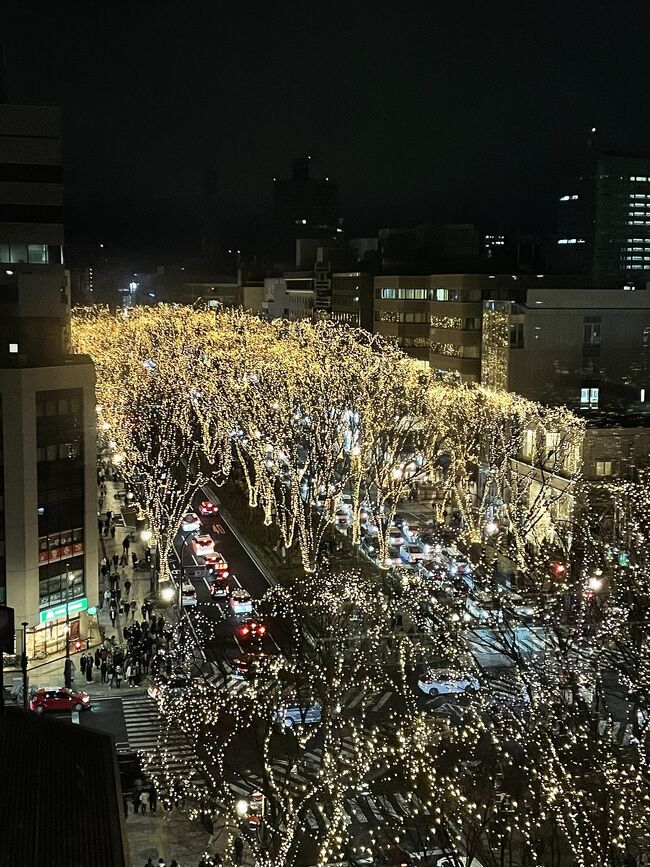 「せんだい光のページェント」は仙台の冬の風物詩 <br />土曜日&クリスマス。寒い中、沢山の人が集まって楽しんでいました。<br />さらに翌日、買い物ついでにページェントの会場定禅寺通りに再訪~