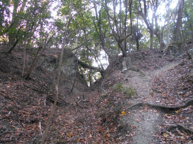 　神戸市西区の太山寺は裏山に自然の森が残っている。私の所属する自然観察の会はここで植物観察会をよく行っている。先日、ここに鎌倉時代の山城があったという情報をいただいた。ネットで調べていると「日本城郭大系」という本が見つかった。そこに地図付きで太山寺城の記載があった。25日は観察会の下見なのでそのついでに城跡を探してみた。