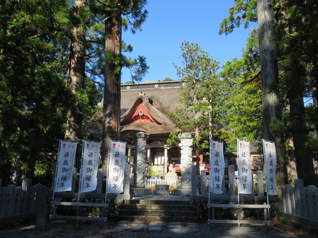 晩秋の山形へ2泊3日の旅<br />第2日は、羽黒山　出羽三山神社の「石段詣」<br />2446段の階段をのぼりました。