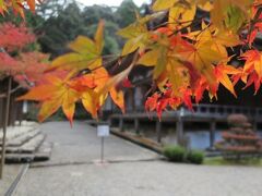 感激！湖東三山の紅葉