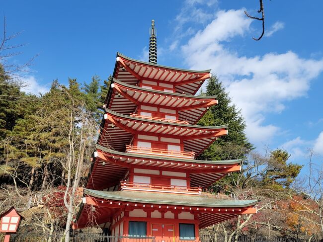 今回は②第2弾『富士マリオットホテル山中湖』→2泊3日の家族旅行です。<br /><br />マリオットから～<br />2006年==マリオット・コオリナ・ビーチ・クラブを購入<br />2016年==ディスティネーション・クラブポイントも追加で購入しちゃった私達。<br />あの頃は良かったけれど！今は海外行けないし・・・<br /><br />昨年に続き→今年もポイント消化の旅です。<br />～マリオット ディスティネーション・クラブポイント消化の旅～<br />①7月→『コートヤード･バイ･マリオット 白馬』→2部屋×2泊(宿泊済)<br />②11月→『富士マリオットホテル山中湖』→2部屋×2泊<br />③12月→『東京マリオットホテル』→2部屋×1泊<br />家族5人！みんなで楽しみましょう(*^^*)