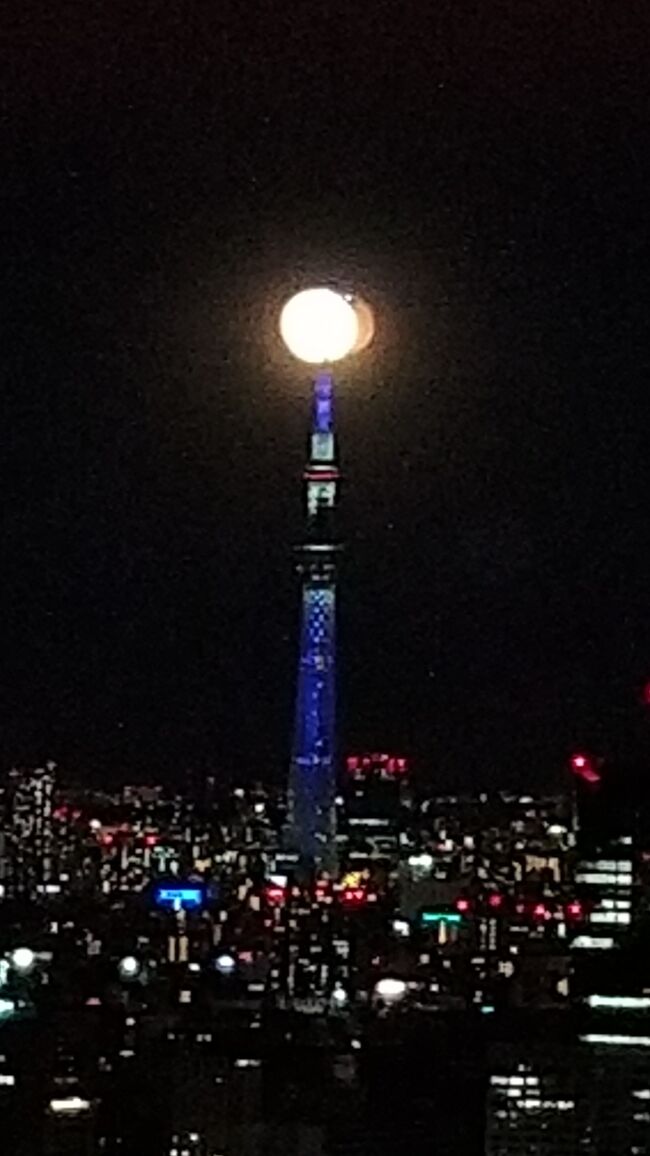 21 年越しホテルステイ パレスホテル東京 ラグジュアリーコレクション紀尾井町 赤坂 東京 の旅行記 ブログ By ぺっぺさん フォートラベル