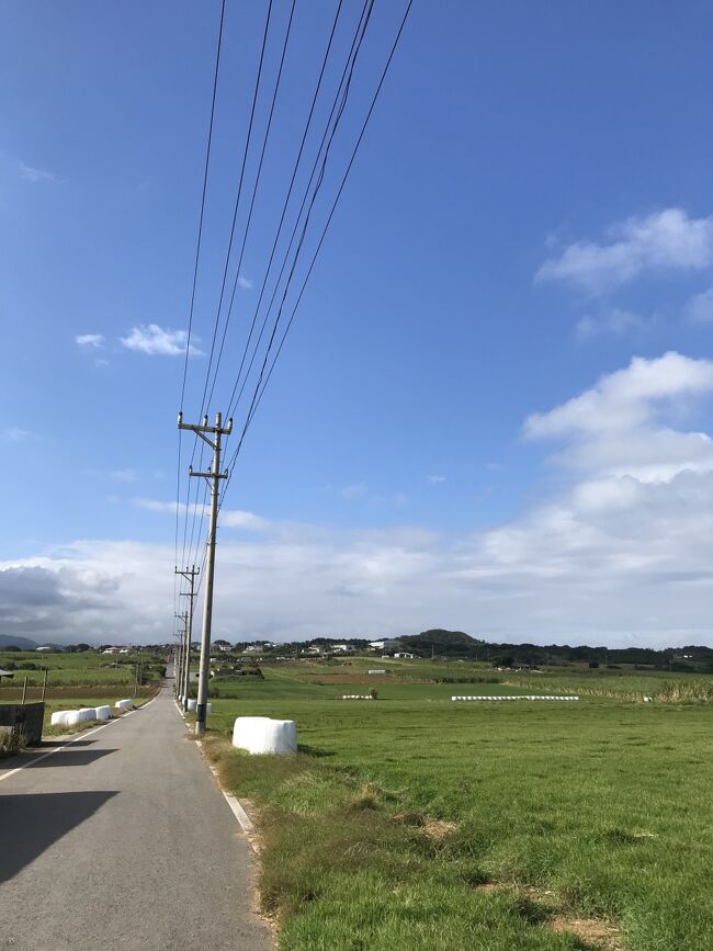 ANAのマイルに余裕があり、東京の感染者にもある程度落ち着いたところで2年ぶりの遠出を計画。<br />夫婦で沖縄本島と宮古島の訪問経験があったので、今回、八重山諸島は小浜島の「はいむるぶし」へ。<br />妻の友人間で評判もよく、広い敷地でディスタンスも取れそう！ということで2泊3日の旅へ。<br />