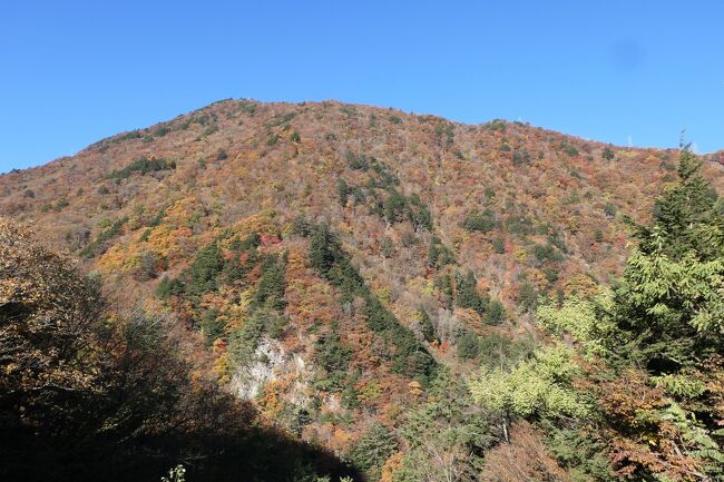 秋の伊豆と信州の優雅な旅♪　Vol.190 ☆奈川渡ダムから蓼科へ　絶景の紅葉♪