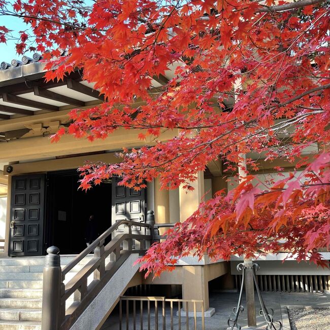  2021年宿泊した宿ベスト3。第2位は京都、嵐山の「星のや」です。ここは初めての宿泊です。<br /><br />妻と義母と3人で、秋の京都を訪ねることになりました。お祝い事もあったので、ゴージャスに行こうぜってことで、嵐山の星のやに1泊することに。合計2泊3日の旅でしたが、もう1泊は普通のホテルです。<br /><br />京都駅でレンタカーを借りて、広隆寺の弥勒菩薩を見たり、妙心寺で庭園を見たりした後、渡月橋を渡って星のや専用の船着き場へとたどり着きます。川べりに星のやのチェックイン用建物があって、そこからは船で宿まで行きます。レンタカーは近隣の民間の駐車場に1泊となります。駐車料金は有料。