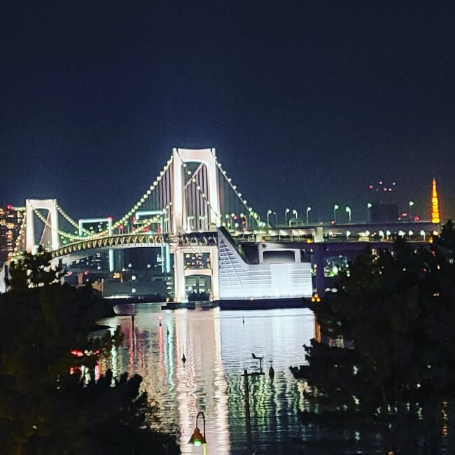 シニアトラベラー！年末の都内夜景ドライブ満喫の旅