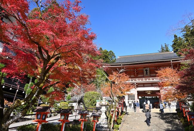 2021年の秋、錦繍に染まる古都・京都でとことん紅葉を堪能する旅!<br />11月も下旬に入り全国各地から紅葉の便りが届く中、ここ最近はすごい混雑ぶりということで避けていた京都ですが、外国人観光客がいないこのタイミングで久しぶりに訪れてみることとし、それならばと祝日をかませて3泊4日の行程をプランニング。<br /><br />1日目は洛北エリアの鞍馬・貴船へと足を延ばし、天狗伝説で知られる「鞍馬寺」から水の神を祀る「貴船神社」へと参拝していくルートを選ぶこととし、途中の「奥の院参道」は山越えの軽いハイキングコースとなります。<br /><br />「鞍馬寺」の広大な山内の中でも、「仁王門」や「転法輪堂」周辺の紅葉具合は特に美しく、坂道が続く参道に四苦八苦しながらも、旅の始まりから見事な紅葉を楽しむことができました♪<br /><br /><br />〔2021.11 秋の京都・とことん紅葉の旅〕<br />●Part.1(1日目①):鞍馬寺/奥の院魔王殿【この旅行記】<br />●Part.2(1日目②):貴船神社<br /> https://4travel.jp/travelogue/11737414<br /><br />〔2017.11 紅葉に染まる山里・京都大原の天台寺院巡拝記〕<br />●Part.1 ~勝林院・実光院・来迎院・宝泉院編~<br /> https://4travel.jp/travelogue/11544446<br />●Part.2 ~三千院門跡・寂光院編~<br /> https://4travel.jp/travelogue/11549521