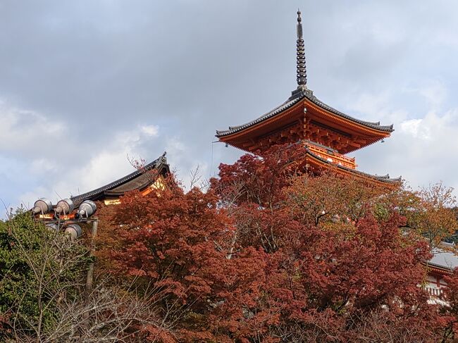 のんびり東京を出発すると、京都へ着くのは午後になってしまいます。明るいうちに見られる所は、駅から近い辺りになってしまうかな。迷いながらネットの観光案内を見ていると、清水寺からの半日散歩コースがありました。うーん、今更と思いましたが最後に清水寺へ行ったのはかなりの昔。それに紅葉の季節は行ったことがありませんでした。ここから初めて最近ガイドブックに載るような所を周って、最後はバーへ行こうと決めました。目新しさはなくベタな市内観光ですが、時間の関係からちょうど良いコースです。<br /><br />京都駅に着いたのは午後だったので、そのままタクシーで清水寺へ。だいぶ観光客が歩いていましたが、コロナ前は車が通れないほど混んでいたそうです。降りてから見えたのは紅葉と三重塔。秋らしい色合いに迎えられた感じがしました。ここから市内を歩き出しました。<br />