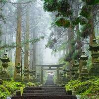 【３日目】祝・復旧！豊肥本線の旅（鬼滅の刃編）