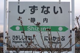 北海道旅行記２０２１年春（１４）惜別の静内駅と静内・旭川間移動編