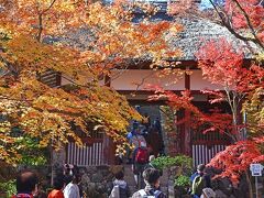 晩秋の京都紅葉巡り２０２１（１日目）ー嵯峨野・嵐山方面ー