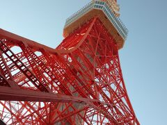 東京徳川ゆかりの御朱印巡り